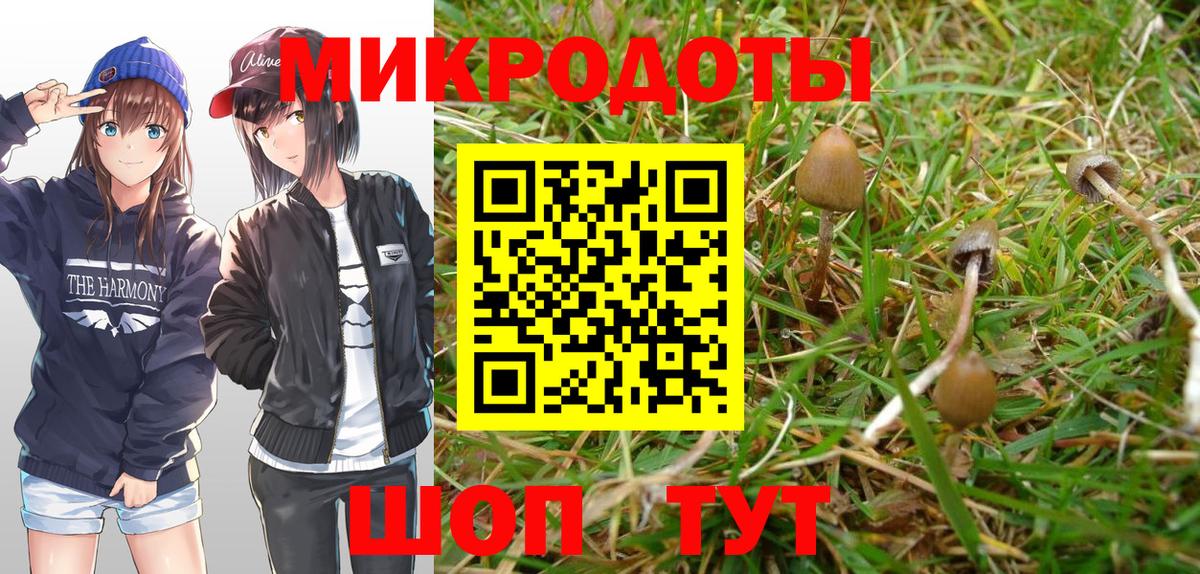 Псилоцибиновые грибы ЛСД Муром