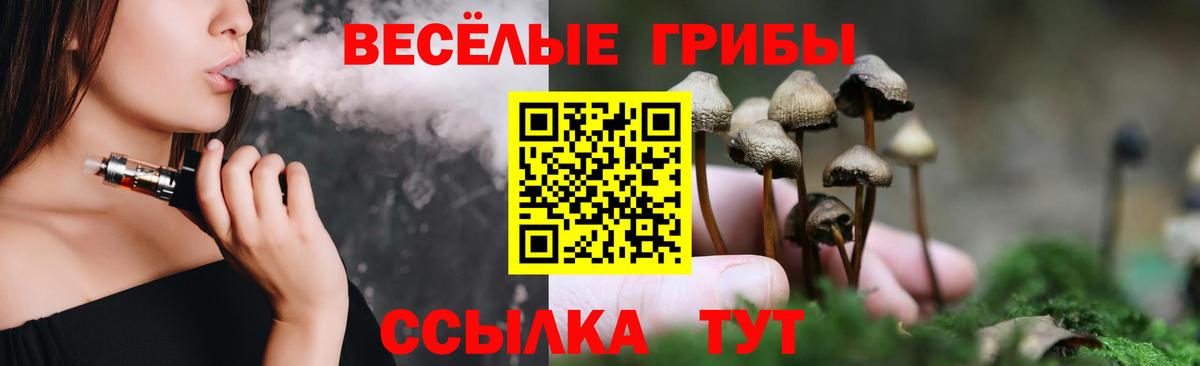 даркнет сайт  Вход с VPN  Псилоцибиновые грибы Cubensis  Муром  Псилоцибиновые грибы мицелий 